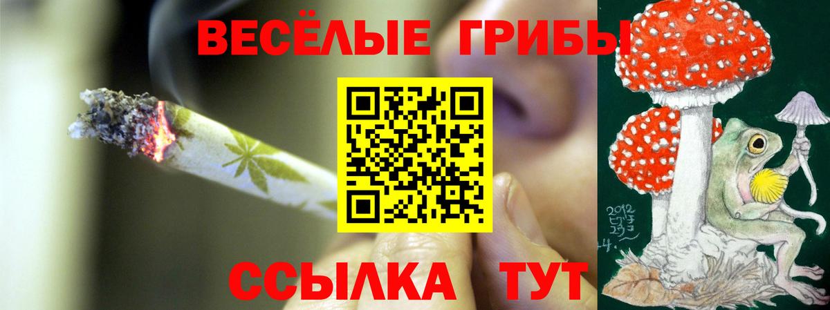Псилоцибиновые грибы прущие грибы Курчатов